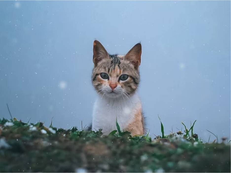 Анемостат AN d 150 (пластик) (Білий)